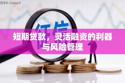 迎泽短期贷款，灵活融资的利器与风险管理