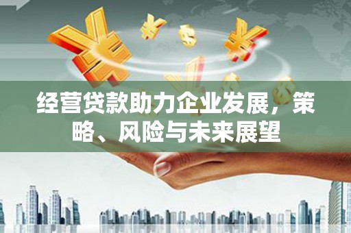 清水河经营贷款助力企业发展，策略、风险与未来展望