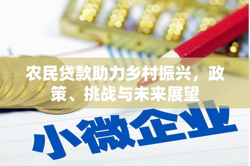 新民农民贷款助力乡村振兴，政策、挑战与未来展望