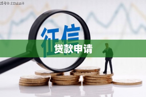 纳雍贷款申请