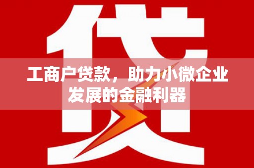 靖州工商户贷款，助力小微企业发展的金融利器