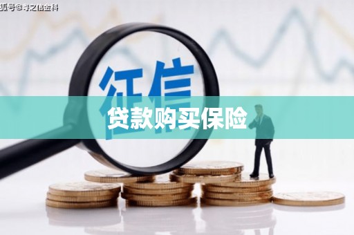 康保贷款购买保险