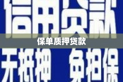 美溪保单质押贷款