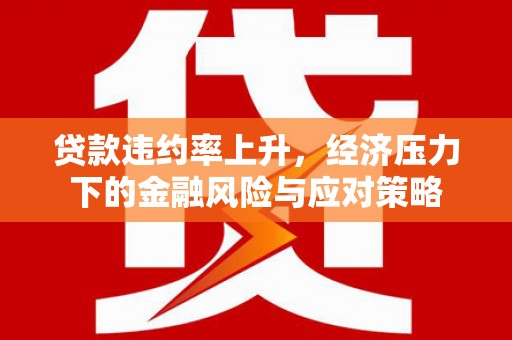 镇赉贷款违约率上升，经济压力下的金融风险与应对策略