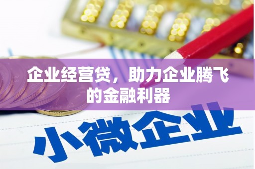 澧县企业经营贷，助力企业腾飞的金融利器
