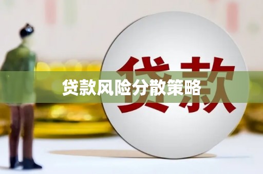 民丰贷款风险分散策略