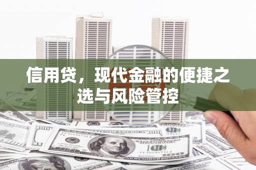 牧野信用贷，现代金融的便捷之选与风险管控