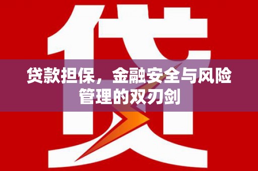 故城贷款担保，金融安全与风险管理的双刃剑