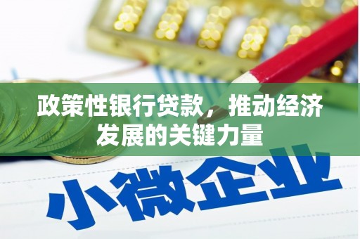 涵江政策性银行贷款，推动经济发展的关键力量
