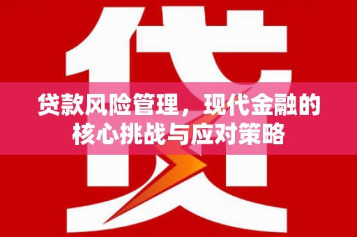 社旗贷款风险管理，现代金融的核心挑战与应对策略