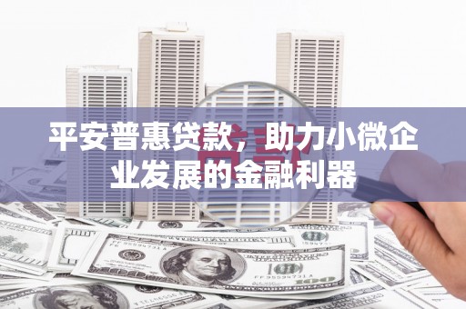 伊吾平安普惠贷款，助力小微企业发展的金融利器