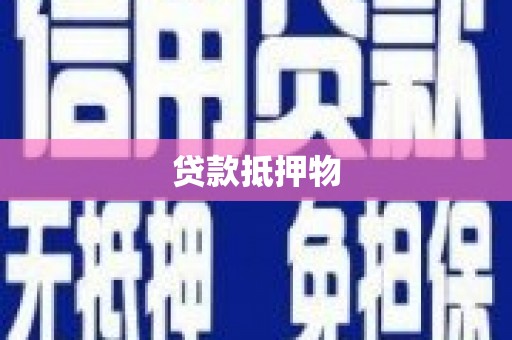 原阳贷款抵押物