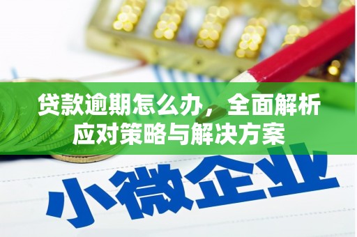 武冈贷款逾期怎么办，全面解析应对策略与解决方案