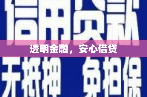 天祝透明金融，安心借贷