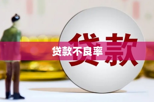 聂荣贷款不良率