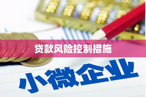 中方贷款风险控制措施