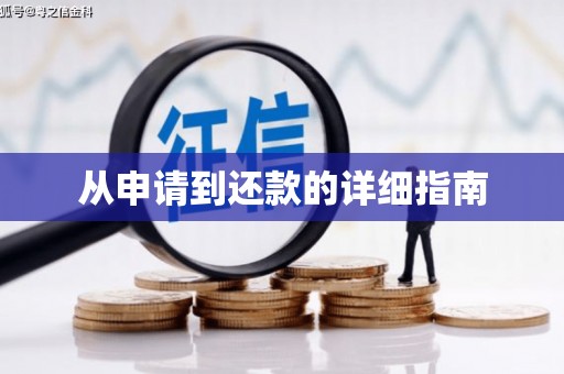 洪雅从申请到还款的详细指南