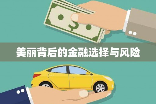 禹会美丽背后的金融选择与风险