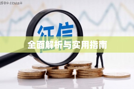 新洲全面解析与实用指南